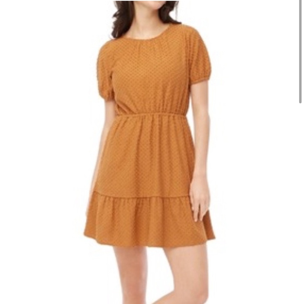 J Crew Rust Orange Swiss Dot Tiered Dress